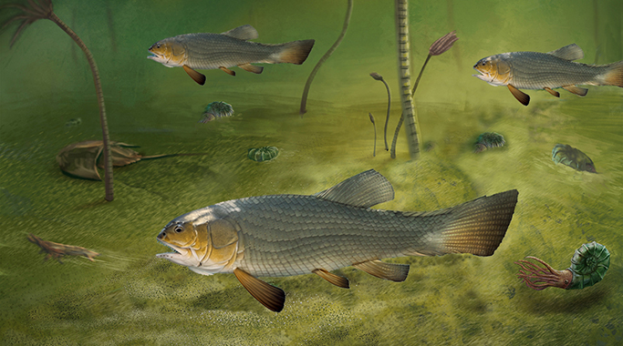 圓尾滇東魚(yú)生態(tài)復(fù)原